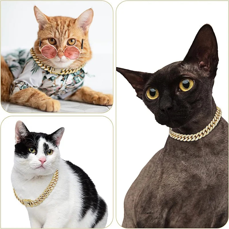Animal world